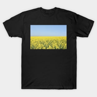 Rapeseed field, Tillingham, Essex T-Shirt